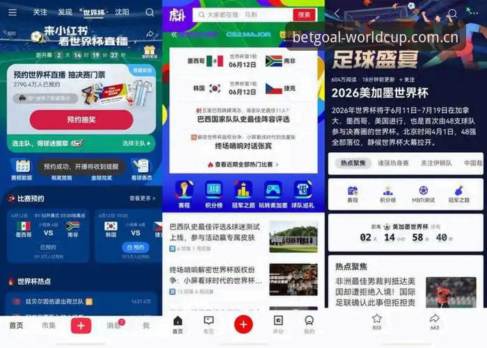 世界杯手机买球APP详解：从下载到体验，老用户带你全面了解